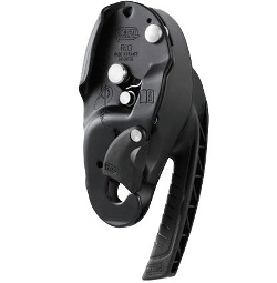 Petzl RIG black D21 AN