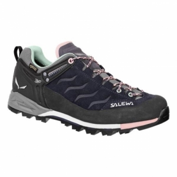 Кроссовки Salewa WS MTN Trainer GTX 63416
