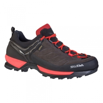 Кроссовки Salewa WS MTN Trainer GTX 63468