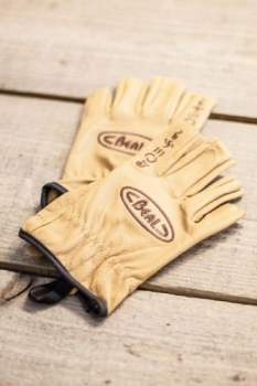 Перчатки Beal Assure Fingerless Gloves