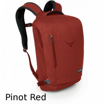 Рюкзак Osprey Pixel Port 14 5391