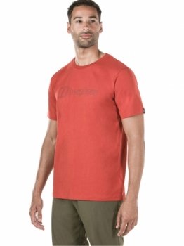 Футболка Berghaus Big Outline Logo Tee