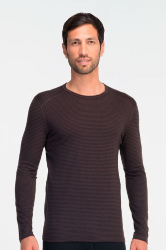 Купить Термокофта Icebreaker Oasis Crewe Stripe BF200 арт. 100809 в Киеве по лучшей цене с доставкой в Украине | Магазин NORTHWALL