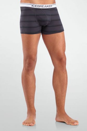 Купить Термошорты IceBreaker Anatomica Boxers Men BF150 арт.100806 в Киеве по лучшей цене с доставкой в Украине | Магазин NORTHWALL