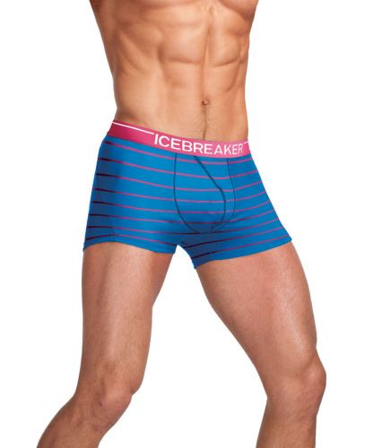 Купить Термошорты Icebreaker Anatomica Boxer Men Stripe BF150 арт. 101123 в Киеве по лучшей цене с доставкой в Украине | Магазин NORTHWALL