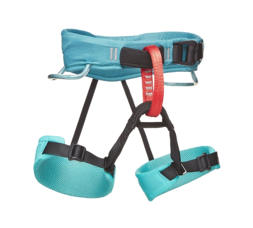Купить Страховочная система Black Diamond Kids' Momentum BD651077 в Киеве по лучшей цене с доставкой в Украине | Магазин NORTHWALL