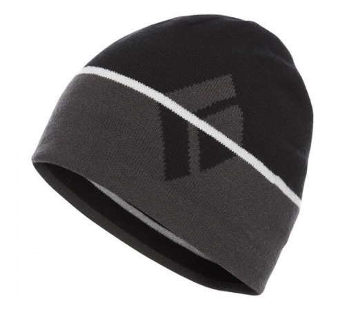 Купить Шапка Black Diamond Brand Beanie 721004 в Киеве по лучшей цене с доставкой в Украине | Магазин NORTHWALL