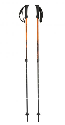 Палки треккинговые Black Diamond First Strike Kids Trekking Poles BD112158 купить в Киеве. Цены, отзывы, описание. Доставка по Украине - Northwall.com.ua