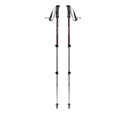 Купить Палки треккинговые Black Diamond Trail Explorer 3 BD112229 в Киеве по лучшей цене с доставкой в Украине | Магазин NORTHWALL