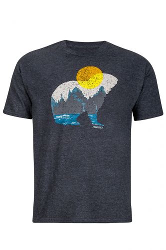 Футболка Marmot Alpine Zone Tee SS 43170  купить в Киеве. Цены, отзывы, описание. Доставка по Украине - Northwall.com.ua