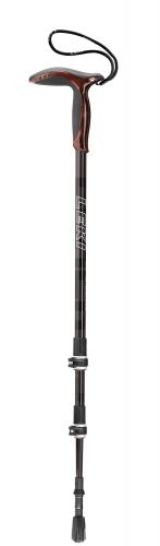 Палки треккинговые Leki Black Series Wanderfreund Speed Lock 2 6362086 купить в Киеве. Цены, отзывы, описание. Доставка по Украине - Northwall.com.ua