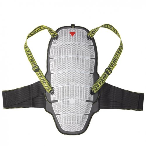 Купить Защита спины Dainese Active Shild Evo в Киеве по лучшей цене с доставкой в Украине | Магазин NORTHWALL