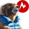 Большая поставка от Marmot!