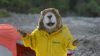 Летняя поставка от мега бренда Marmot!