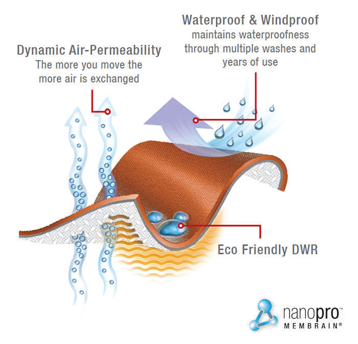 illus_nanopro_membrain