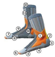 xsocks_trextrl_shema